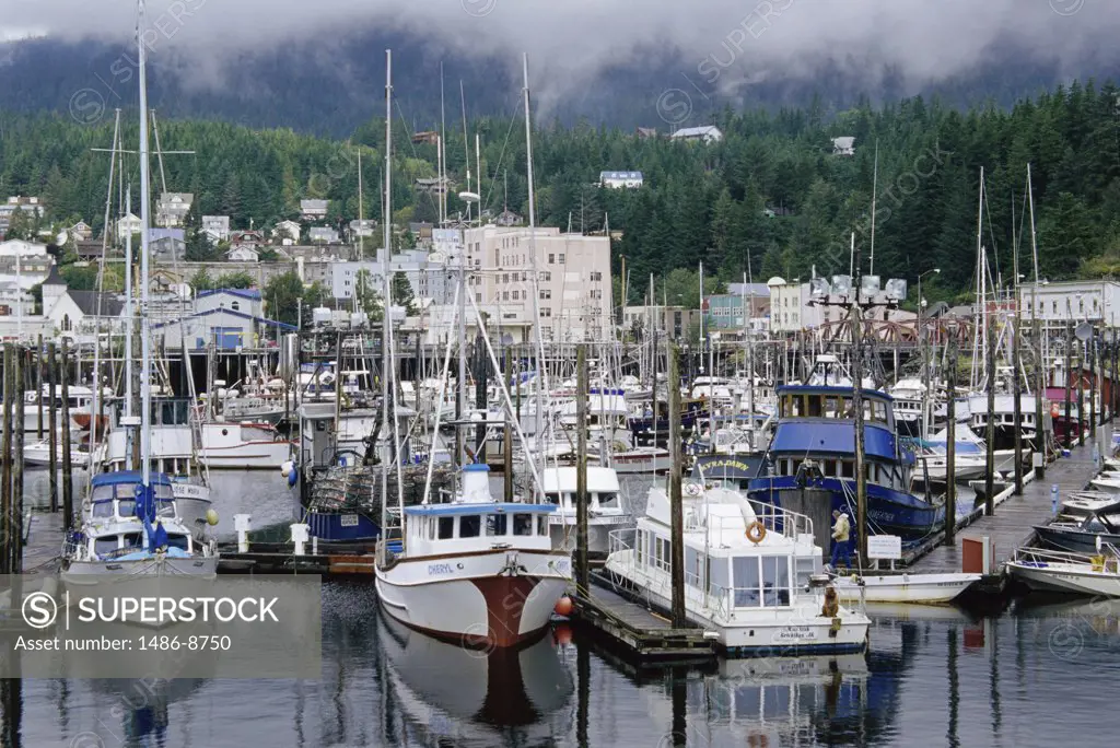 High angle view of boats docked in a harbor, Ketchikan, Alaska, USA