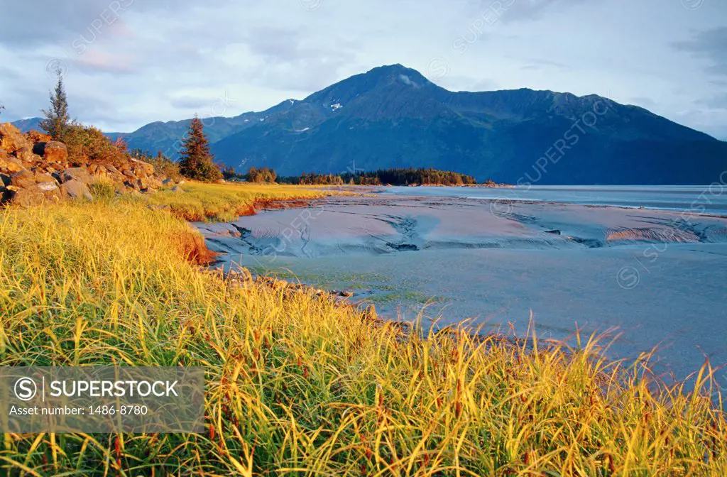 Panoramic view of the Cook Inlet, Alaska, USA