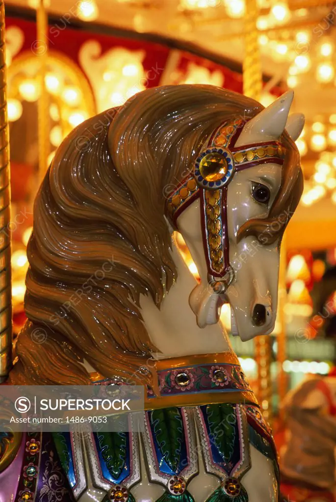 View of a horse on a merry-go-round in an amusement park