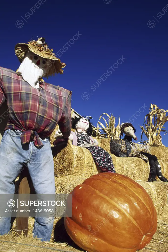 Halloween scarecrows with a pumpkin on haystacks