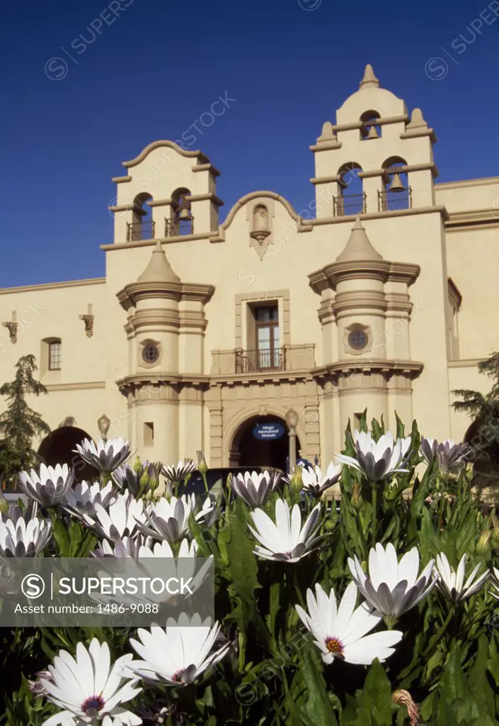 Flowers in front of a building, Balboa Park, San Diego, California, USA