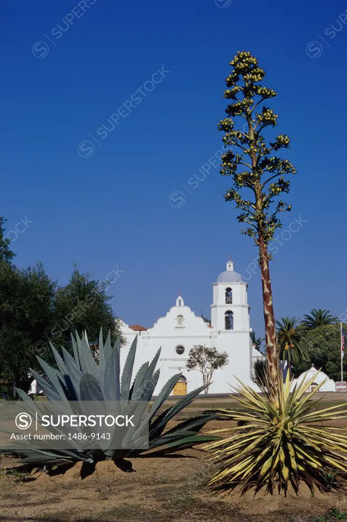 Cactus plant growing in front of Mission San Luis Rey de Francia, Oceanside, California, USA