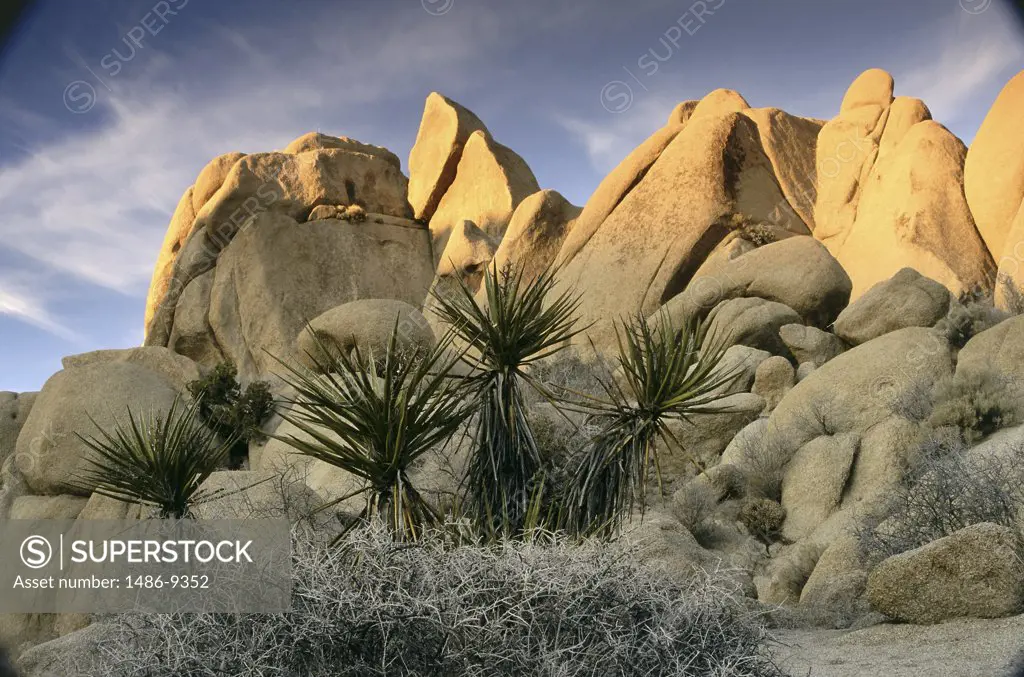 Low angle view of rock formations, Joshua Tree National Park, California, USA