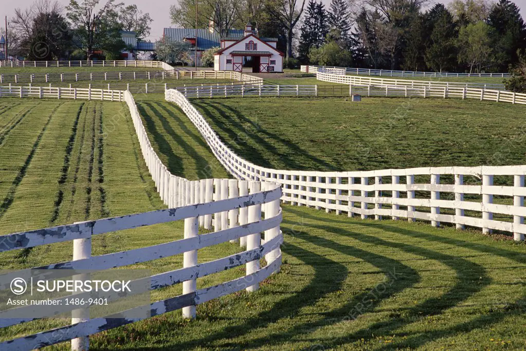 Fences on a horse farm, Calumet Farm, Lexington, Kentucky, USA