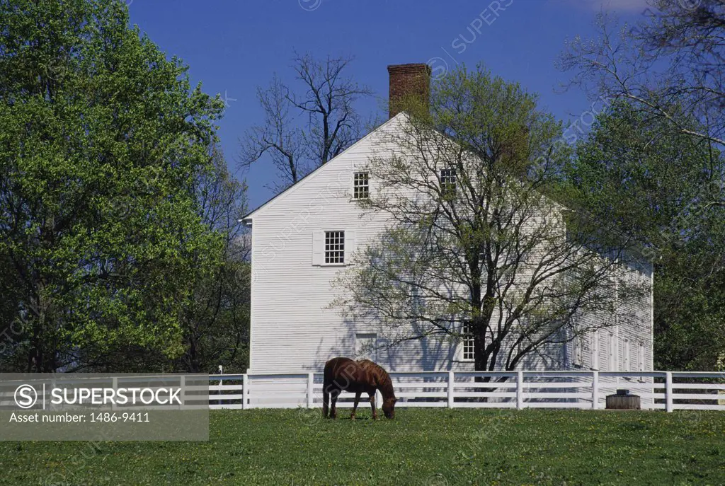 Horse grazing in front of a house, Shaker Village, Pleasant Hill, Kentucky, USA