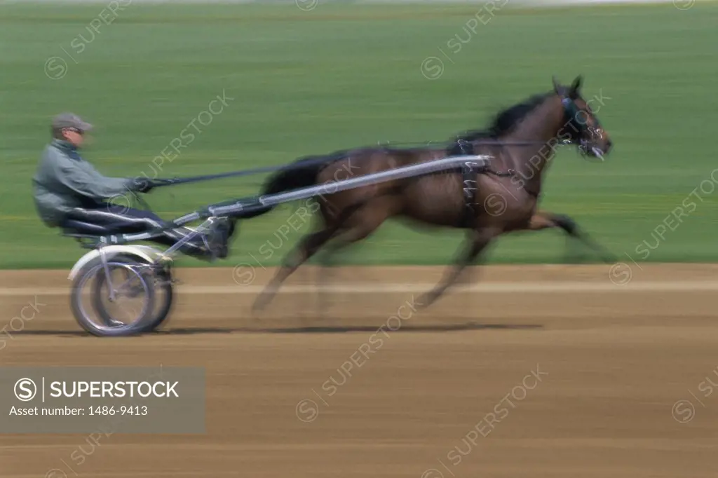 Side profile of a jockey riding on a horse cart, Red Mile Harness Track, Lexington, Kentucky, USA