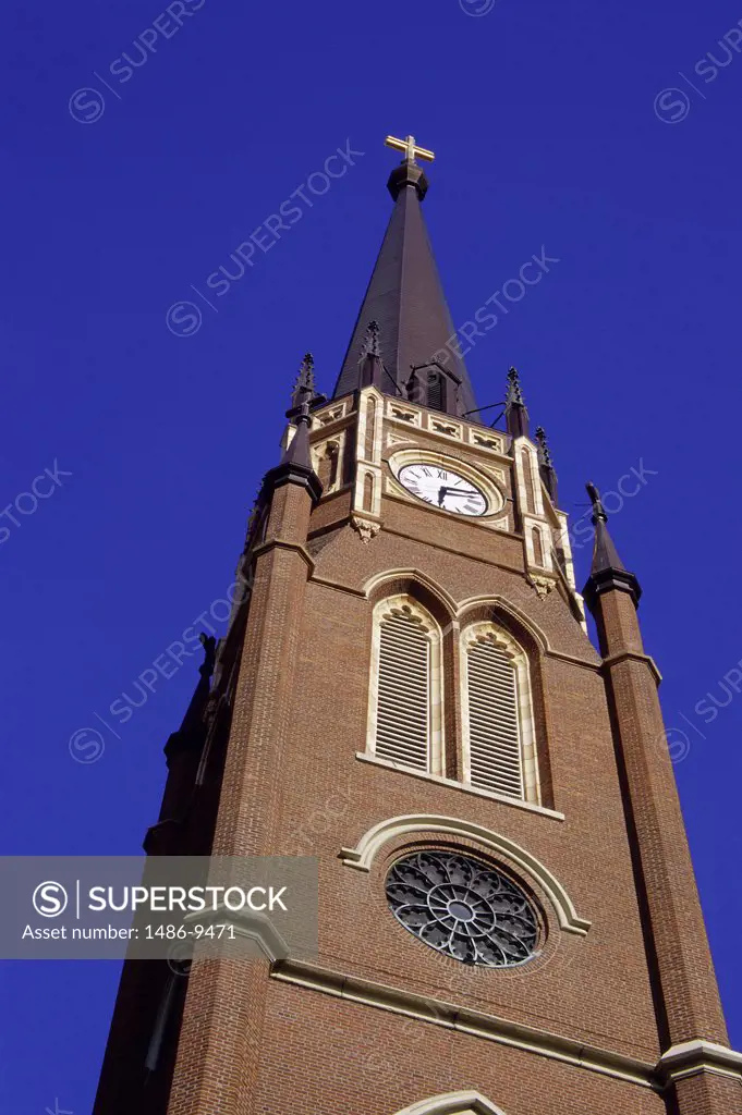 Low angle view of a cathedral, Cathedral of the Assumption, Louisville, Kentucky, USA