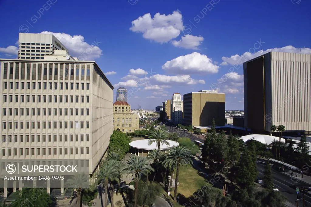 High angle view of palm trees in front of a building, Phoenix, Arizona, USA