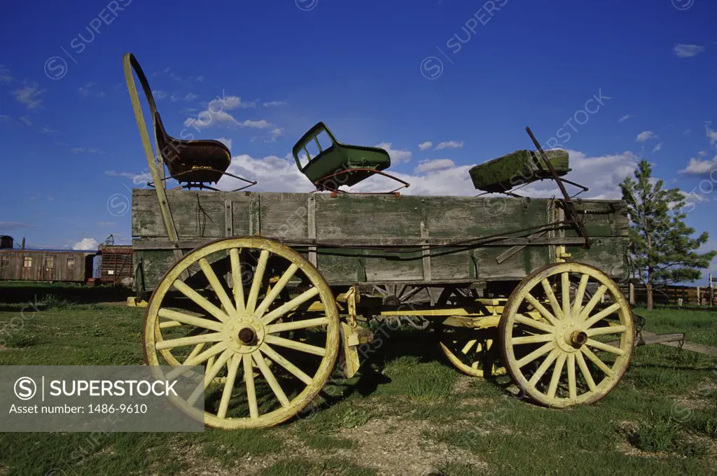 Horse cart in a field, 1880 Town, South Dakota, USA