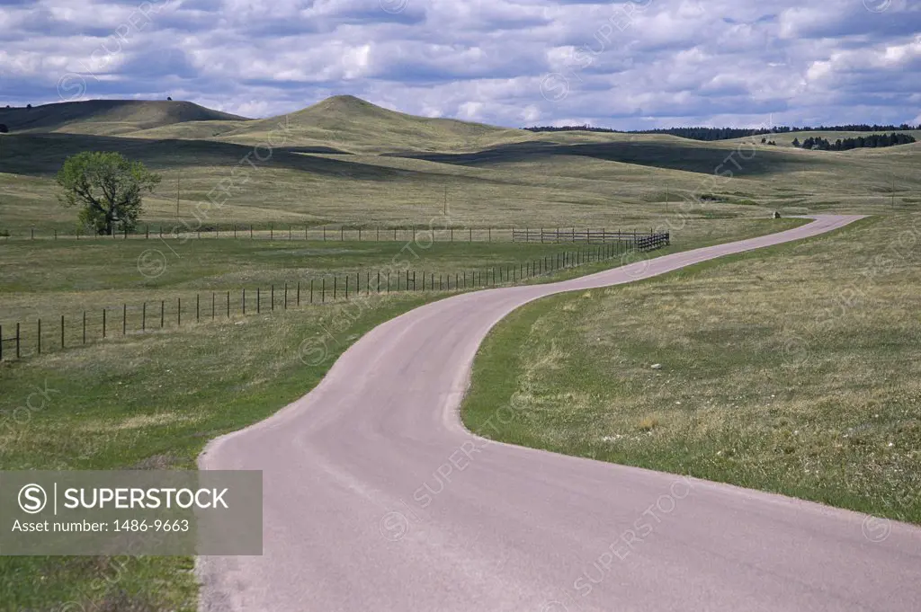 Road passing through a landscape, Custer State Park, South Dakota, USA
