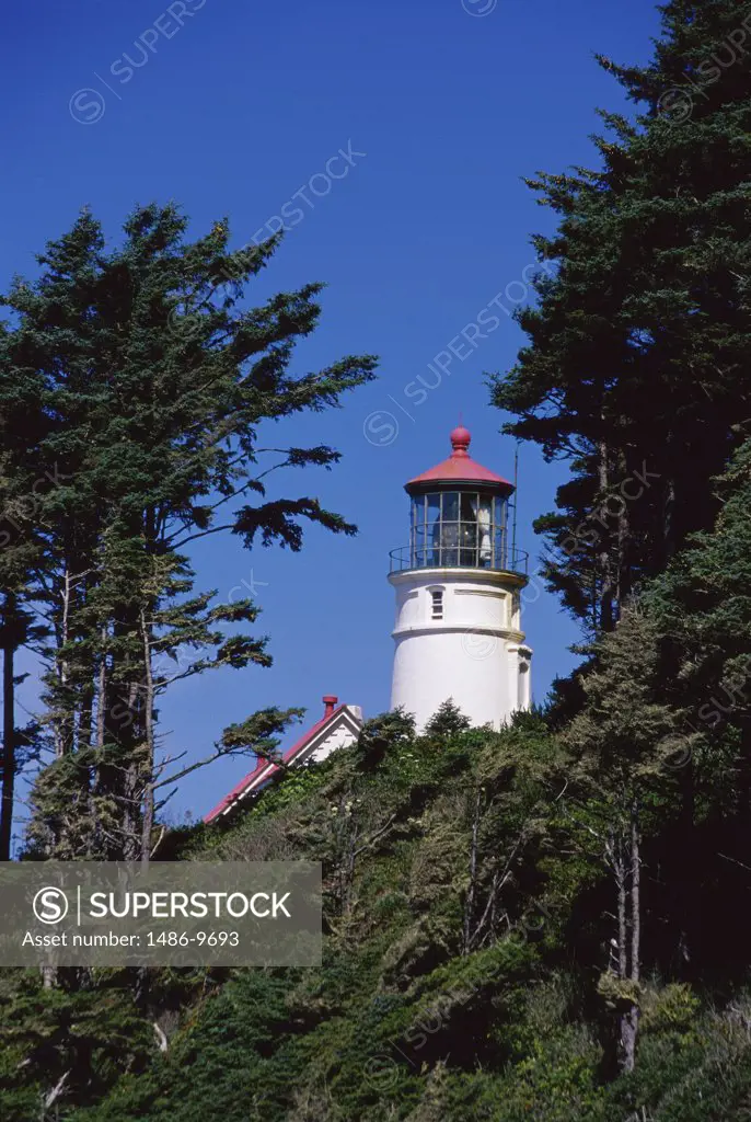 Low angle view of a lighthouse, Heceta Head Lighthouse, Oregon, USA