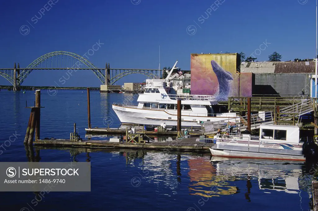 Boats docked in a harbor, Newport, Oregon, USA