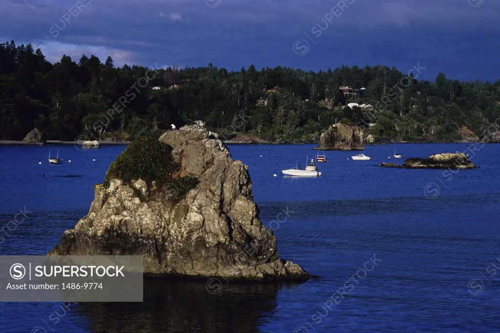 Rock formation in the sea, Trinidad, California, USA