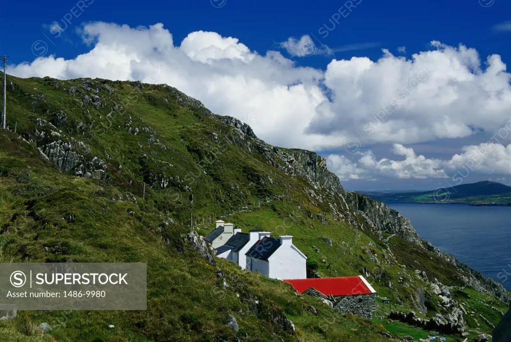 Houses on a hillside, Sheep's Head, Ireland