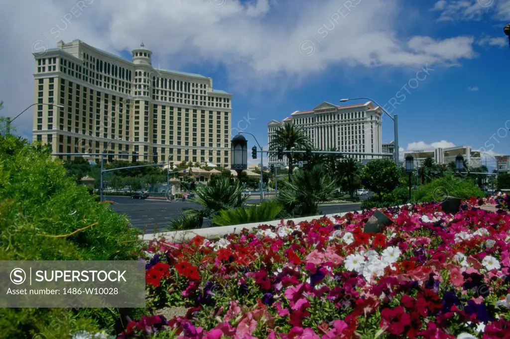 Low angle view of resorts, Bellagio Resort and Casino, Caesars Palace Hotel and Casino, Las Vegas, Nevada, USA