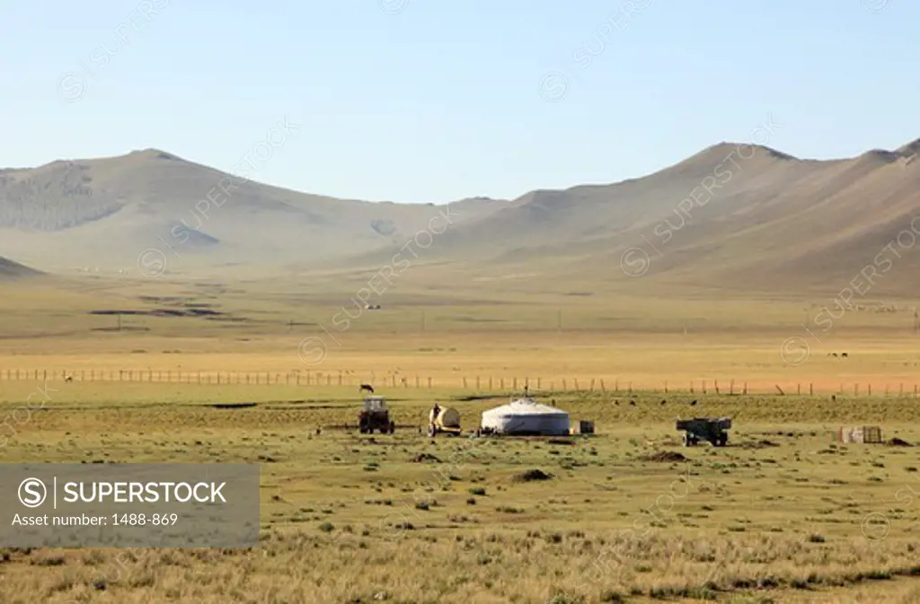 Yurt encampment and cattle on plain, Mongolia