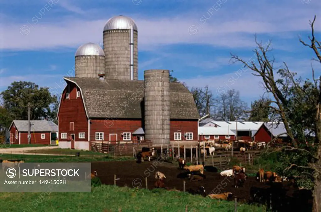 Farmhouse in a field, Iowa, USA