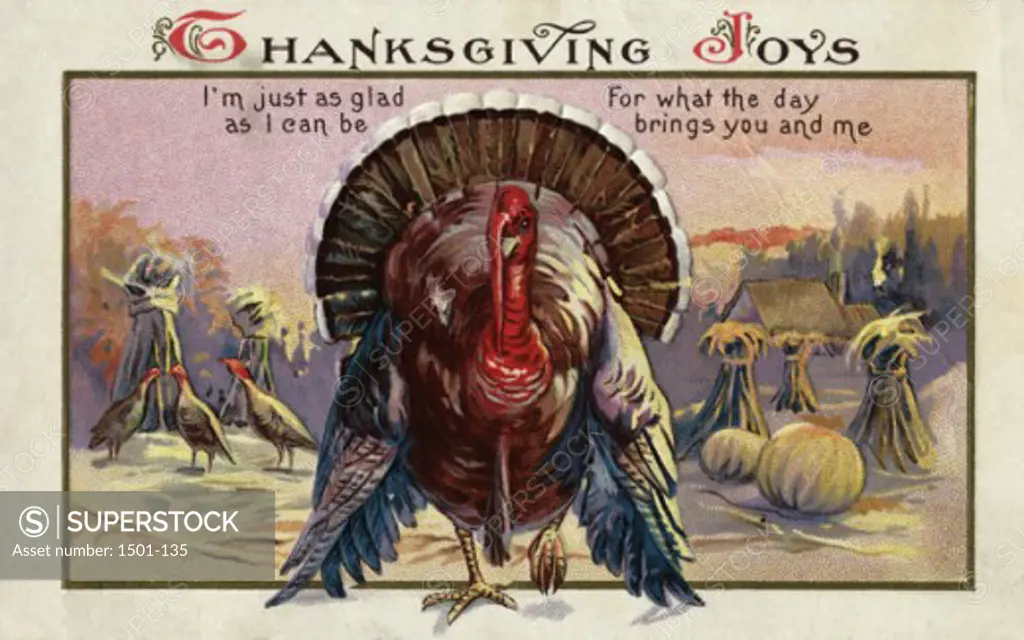 Thanksgiving Joys Postcard  Private Collection