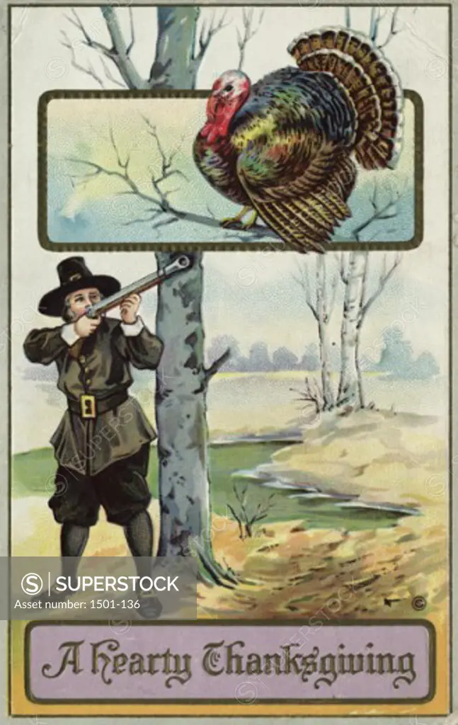 A Hearty Thanksgiving Postcard Private Collection