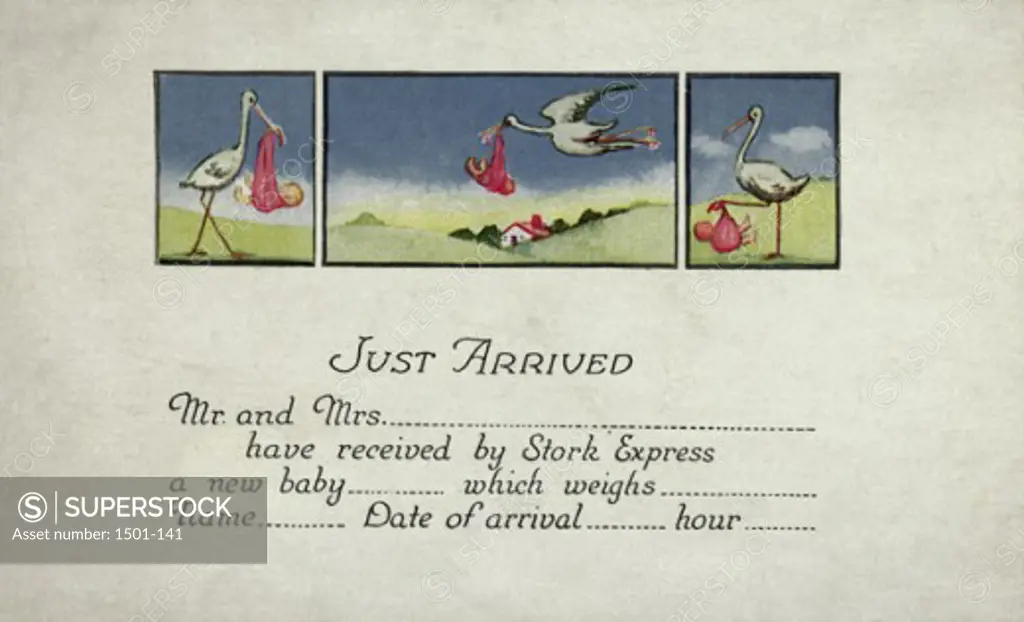"Just Arrived" Birth Announcement Postcard Private Collection