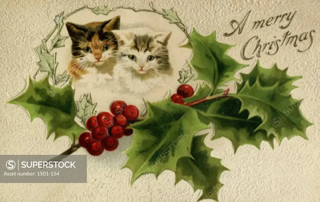 A Merry Christmas (Kittens & Holly)  1911 Postcard  Private Collection