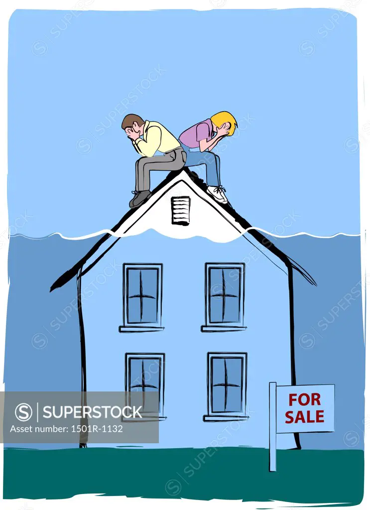 House underwater, illustration