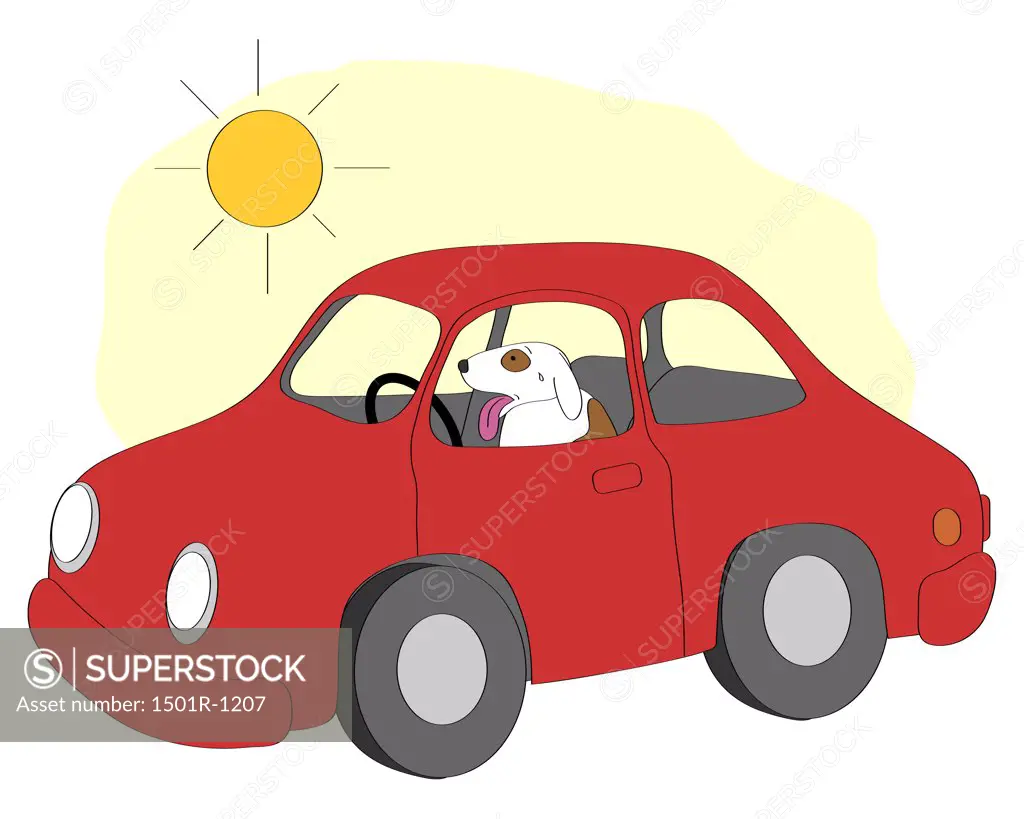 Dog in red car, illustration