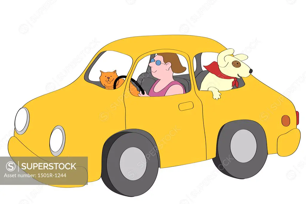 Smiling woman driving yellow car with cat and dog, illustration