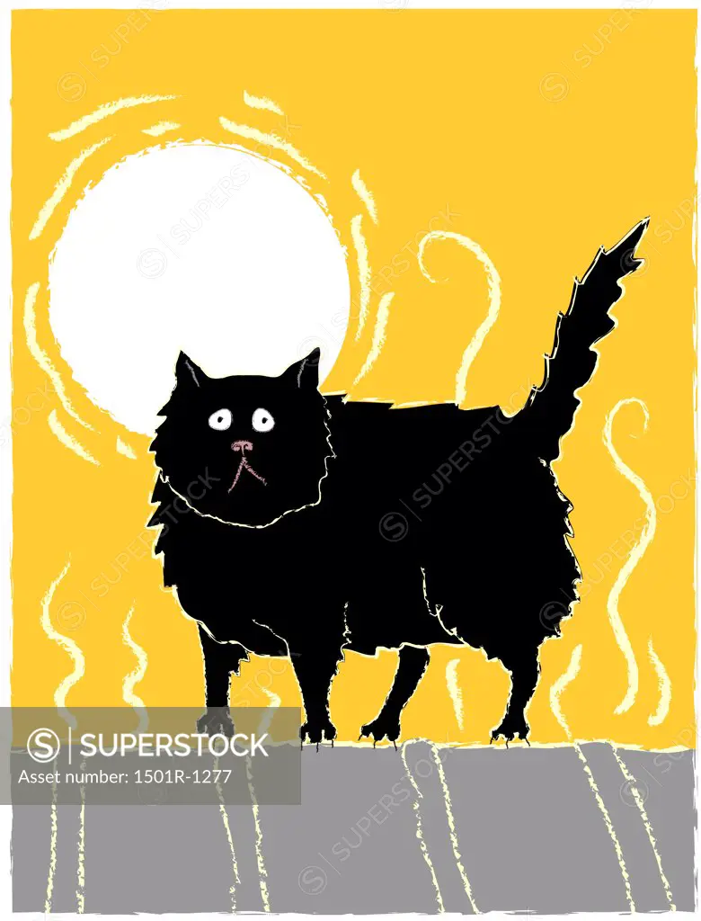 Black cat on hot tin roof, illustration