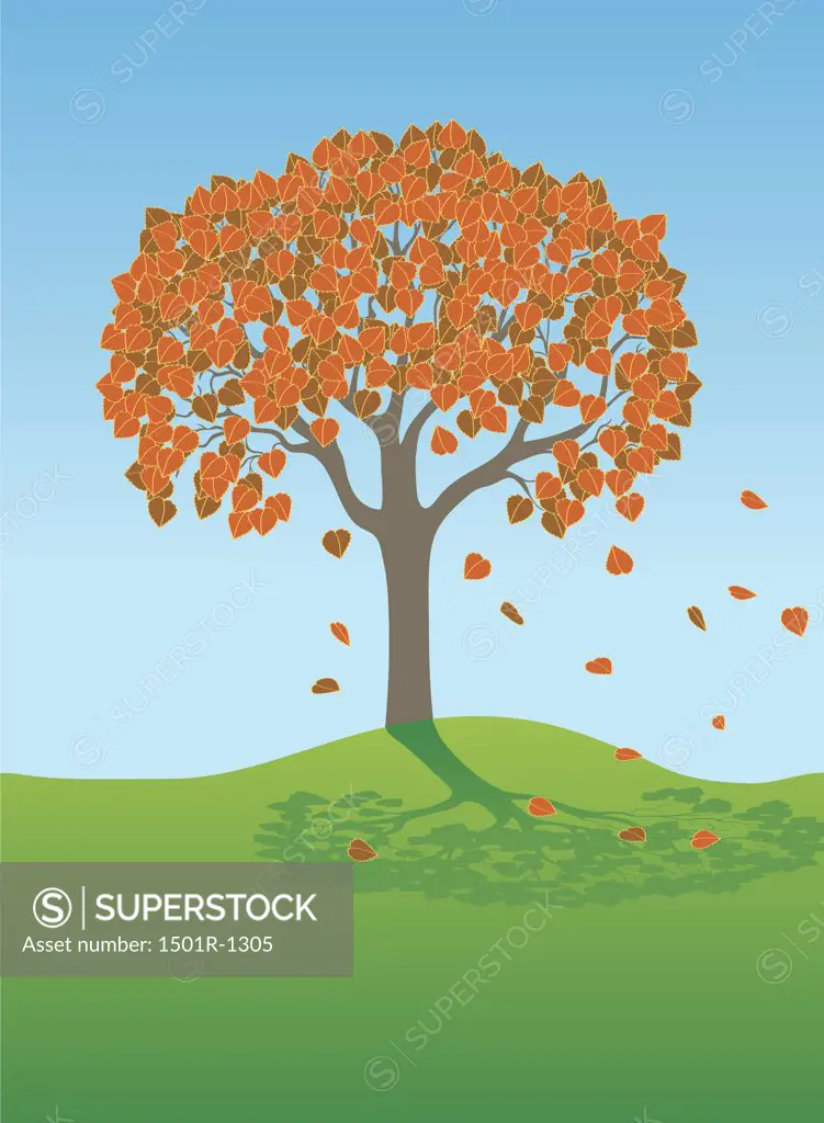 Autumn Tree, illustration