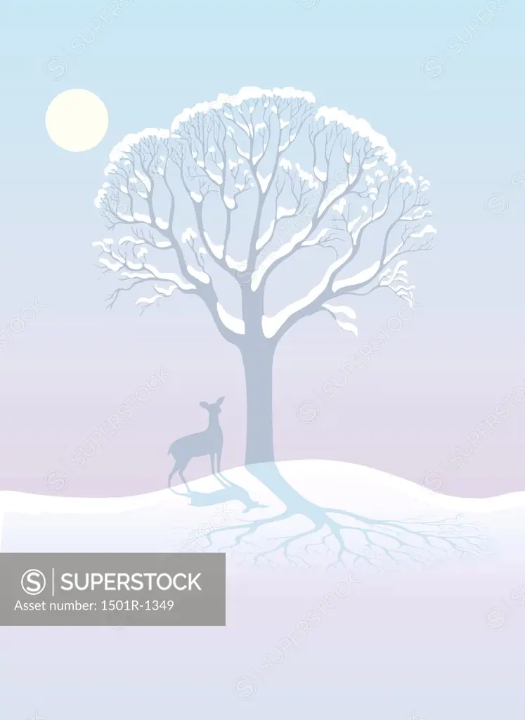 Winter Deer, illustration