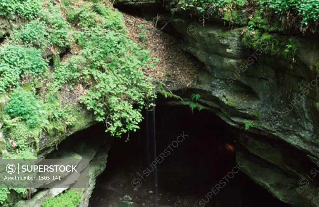 Mammoth Cave National Park Kentucky USA