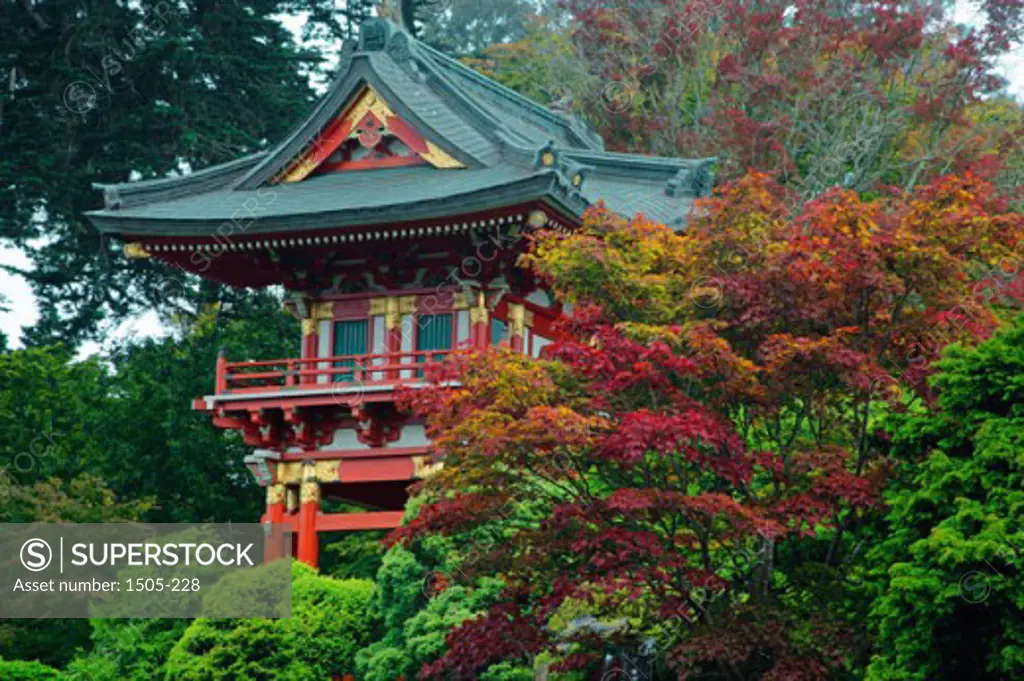 Low angle view of a temple surrounded by trees, Japanese Tea Garden, Golden Gate Park, San Francisco, California, USA