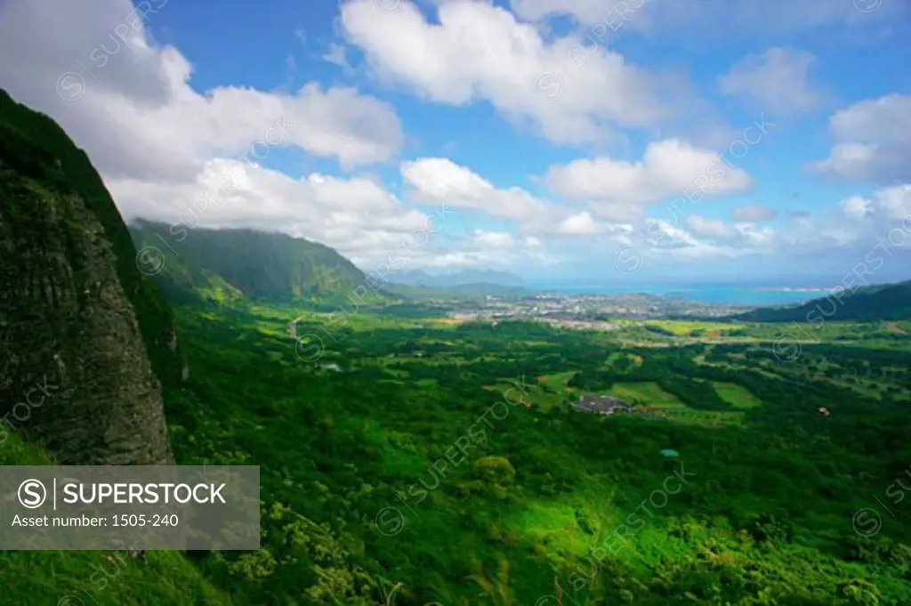 High angle view of trees on a landscape, Na Pali Coast, Kauai, Hawaii, USA