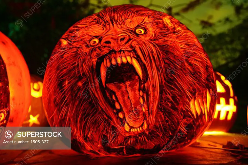 Close-up of a jack o' lantern with the face of Werewolf, Roger Williams Park Zoo, Providence, Rhode Island, USA
