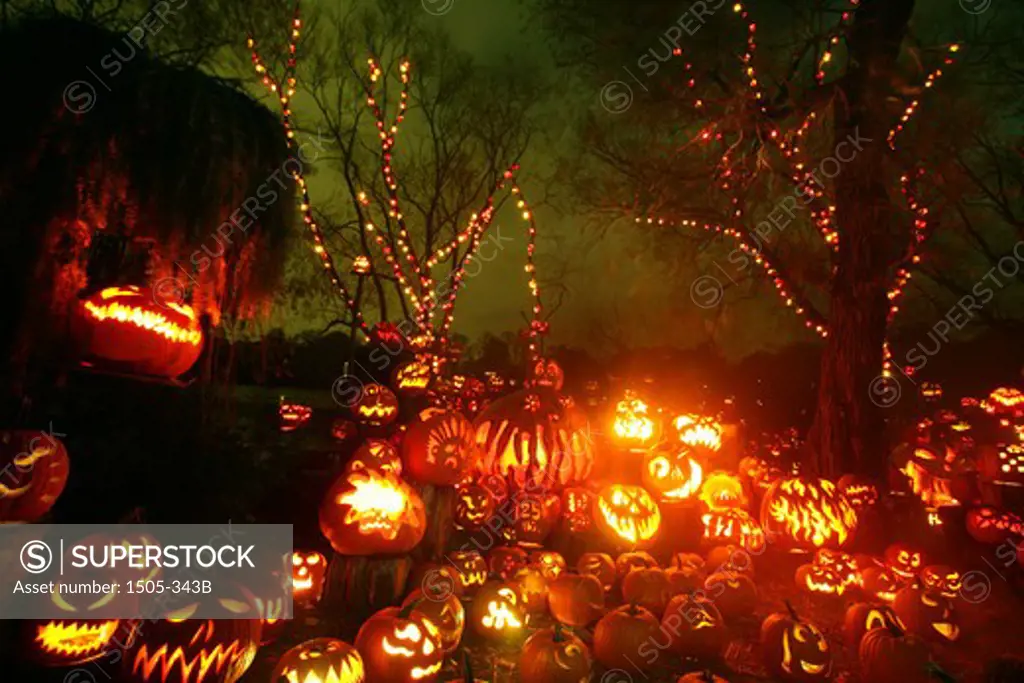 Jack o' lanterns lit up at night, Roger Williams Park Zoo, Providence, Rhode Island, USA