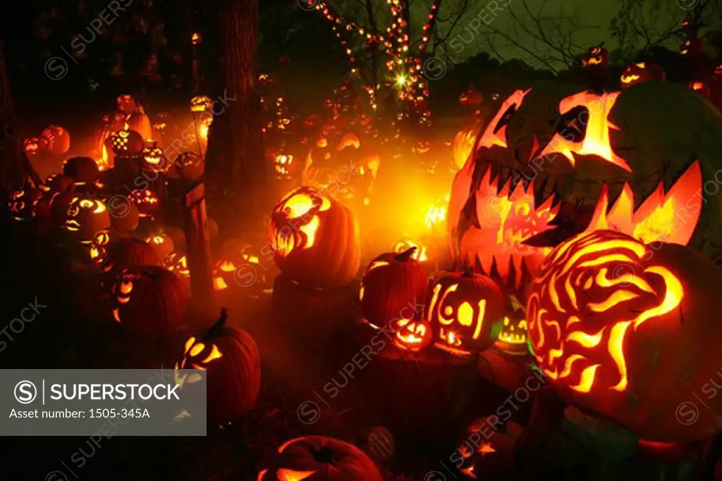 Jack o' lanterns lit up at night, Roger Williams Park Zoo, Providence, Rhode Island, USA