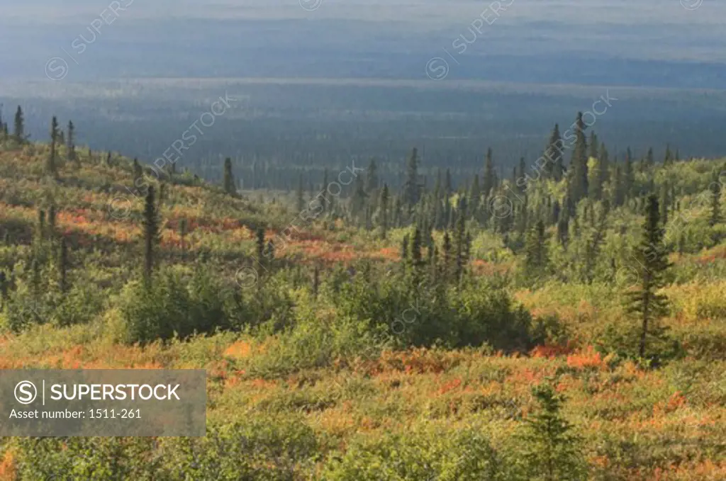 Mackenzie Delta Northwest Territories Canada