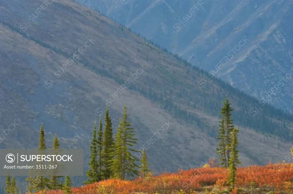 Ogilvie Mountains Yukon Territory Canada