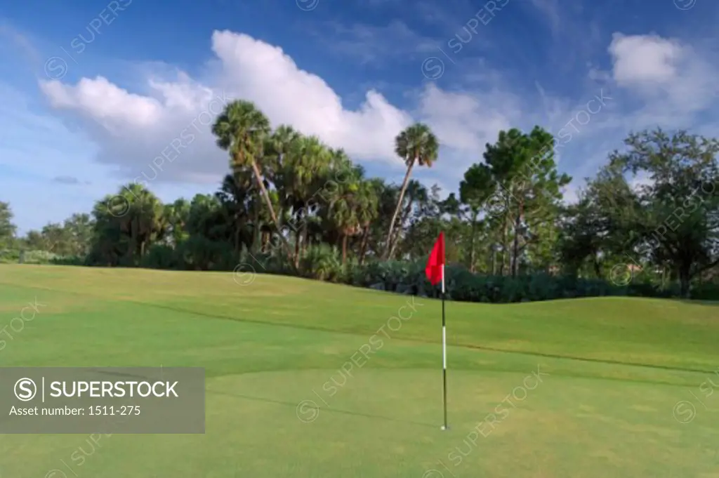 Golf flag on a golf course
