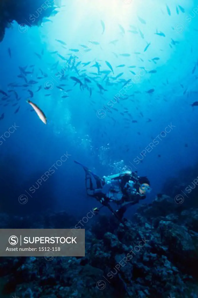 Side profile of a scuba diver underwater