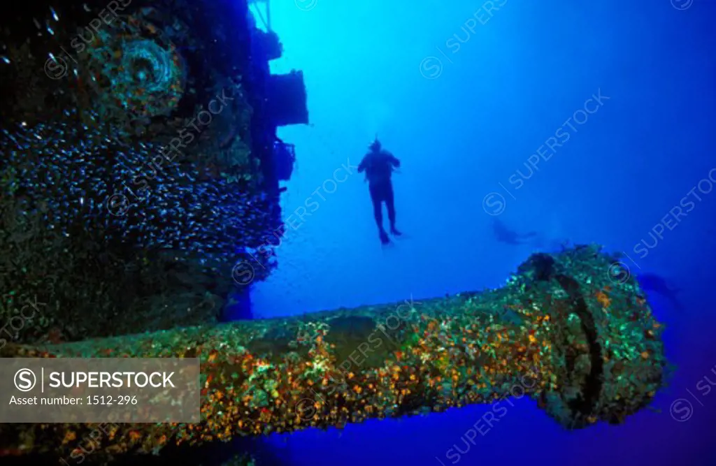 Scuba diver swimming near a shipwreck, Theo's Wreck, Bahamas