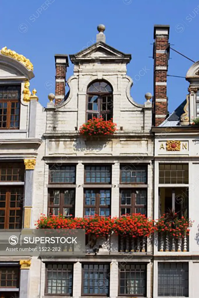 Flowers in window boxes, Grand Place, Brussels, Belgium