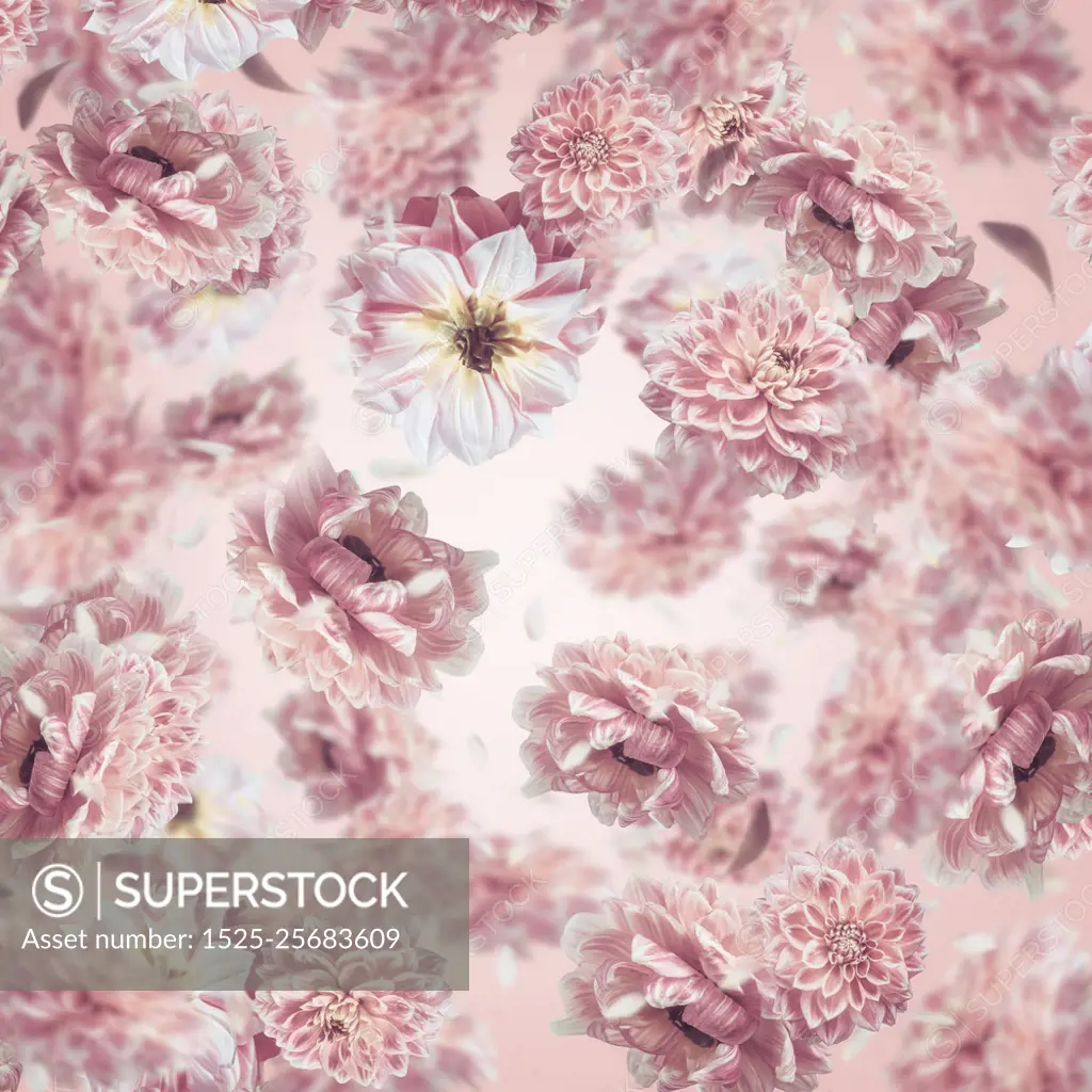 Falling or flying pastel pink flowers background or pattern