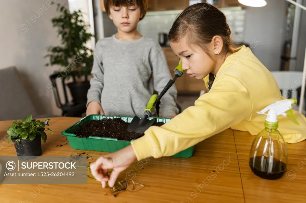 kids learning how plant seeds home