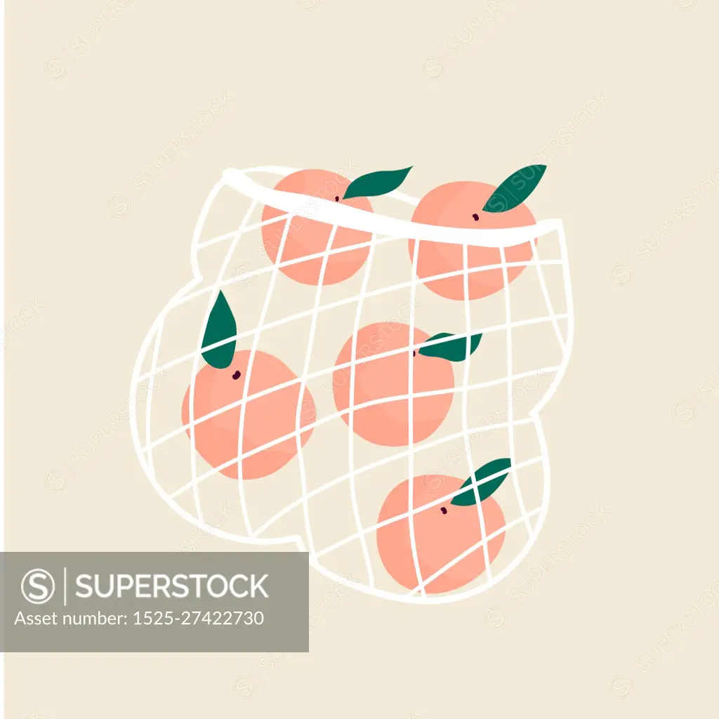 Juicy ripe peaches in a mesh eco bag. Vector illustration, design. Juicy ripe peaches in a mesh eco bag. Vector illustration