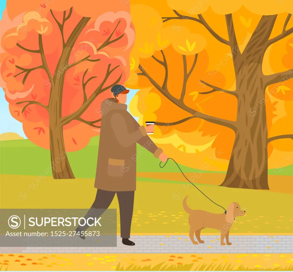 Autumn park with path and dried leaves on trees vector. Man walking pet on leash, male wearing warm clothes strolling with canine. Character drinking hot beverage from plastic cup, fall illustration. Man Walking Dog in Autumn Forest, Park in Fall