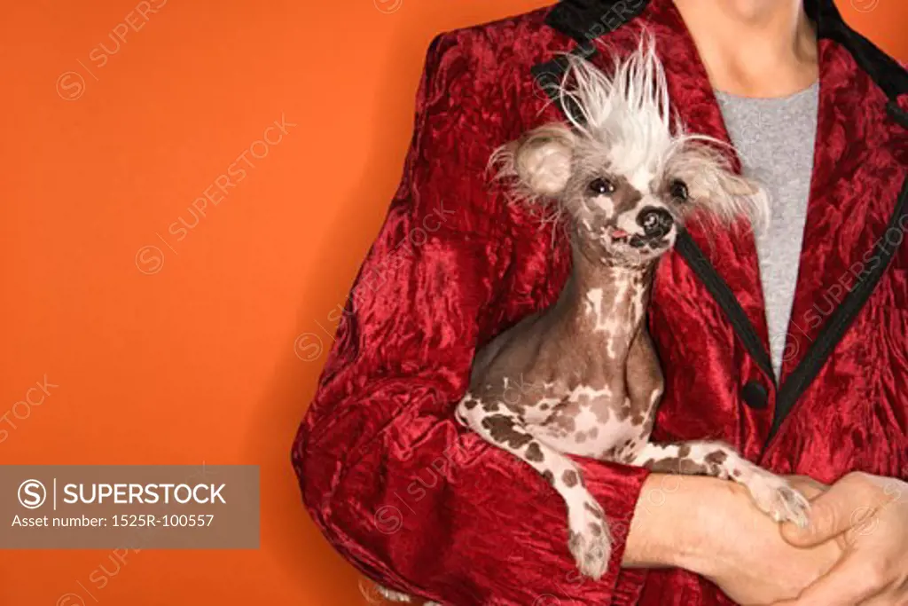 Caucasian mid-adult male wearing velvet jacket and holding Chinese Crested dog.