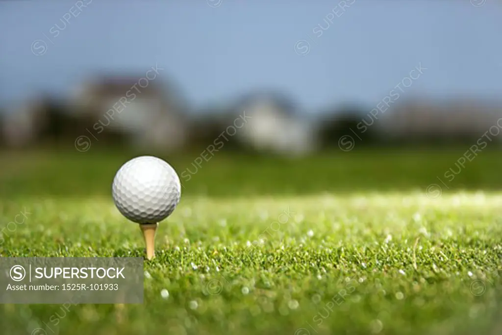 Golf ball and tee on golf course.