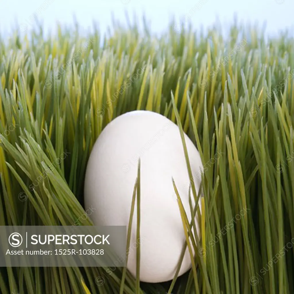 Studio shot of a white egg laying in grass.